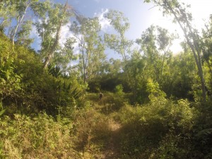 DCIM100GOPRO